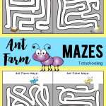 Ant Farm Mazes