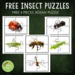 Free Four Piece Ant Puzzle