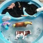 Farm Animal Washing Sensory Bin