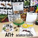 Ant Science Table