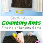 Counting Ants Fine Motor Sensory Game