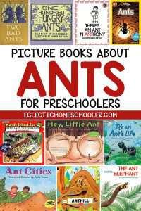 Picture Books About Ants for Preschoolers