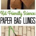 Kid Friendly Science Paper Bag Lungs