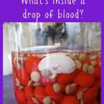 What's Inside a Drop of Blood Science Experiment