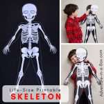 Life Size Printable Skeleton