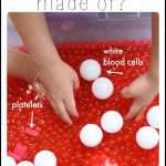 What is Blood Made of Sensory Bin