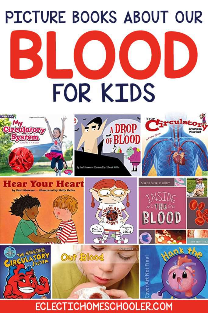 Picture Books About Our Blood for Kids