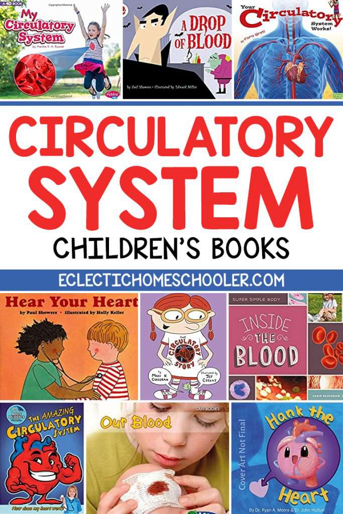 Circulatory System Children's Books