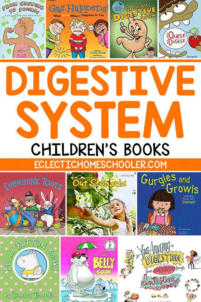 Digestive System Children's Books