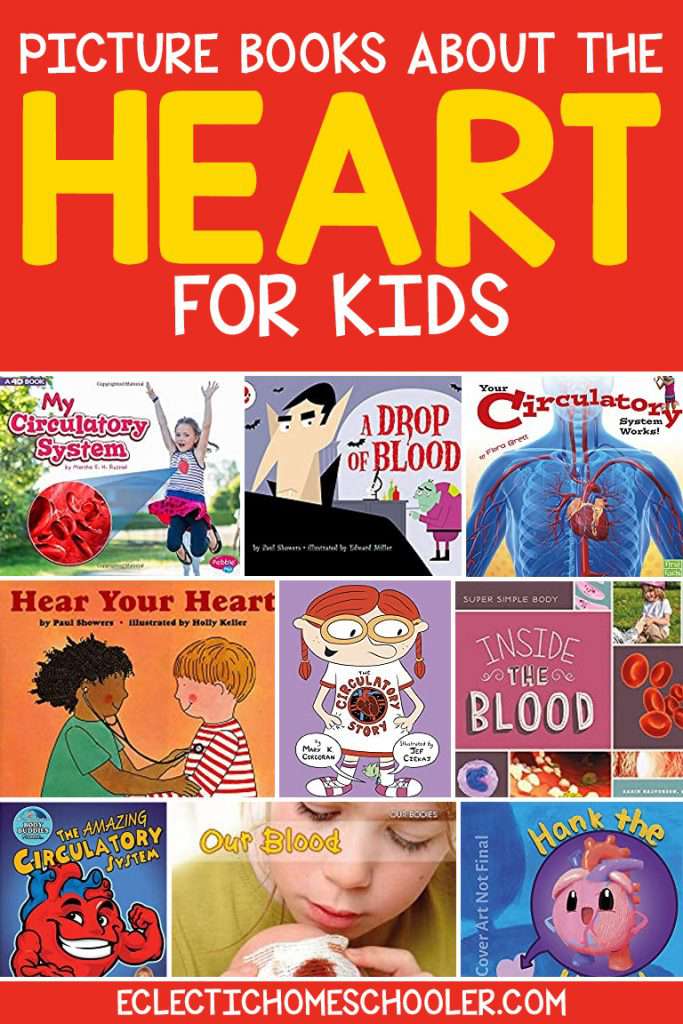 Picture Books About The Heart for Kids